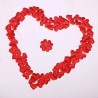 Imagem 4